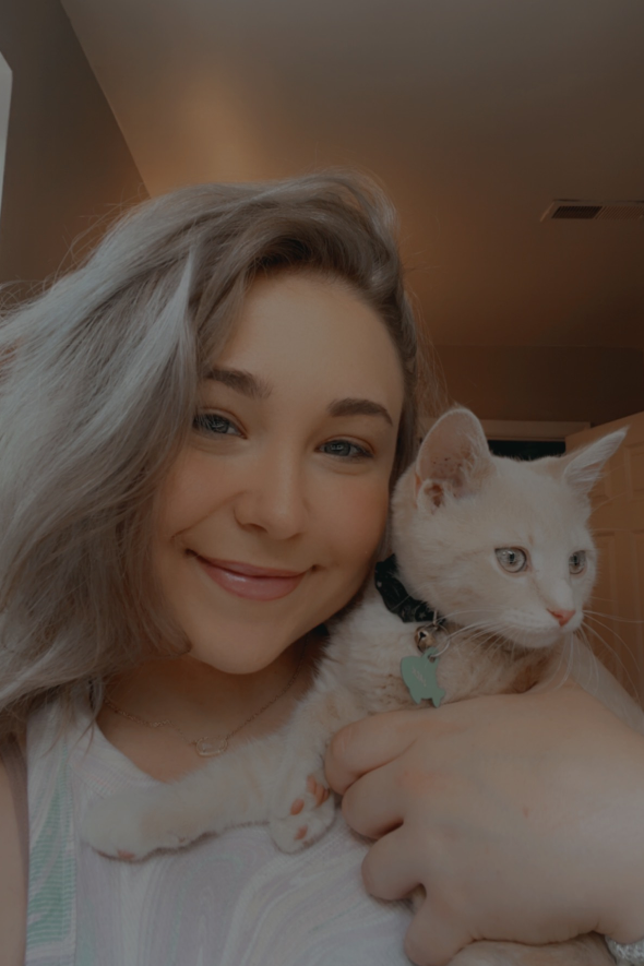 PAWS Animal Hospital Home